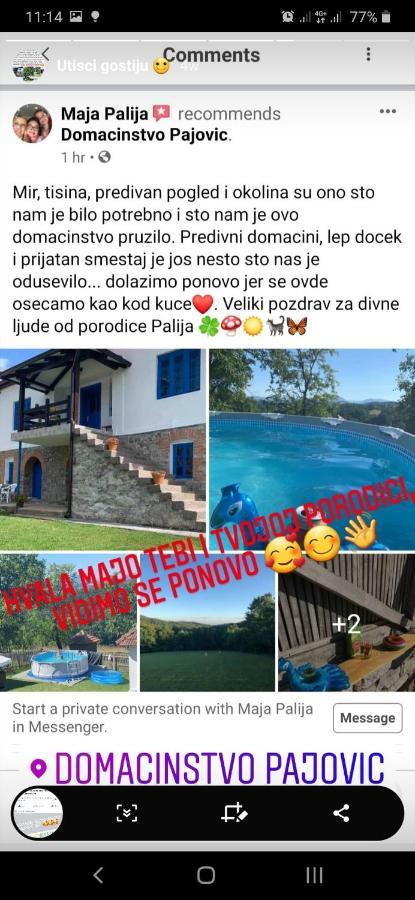 Domacinstvo Pajovic Villa Gornji Milanovac Eksteriør bilde