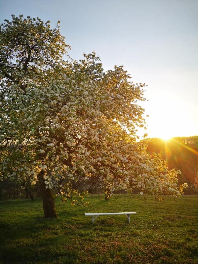 Domacinstvo Pajovic Villa Gornji Milanovac Eksteriør bilde