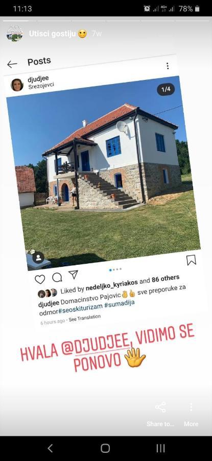 Domacinstvo Pajovic Villa Gornji Milanovac Eksteriør bilde