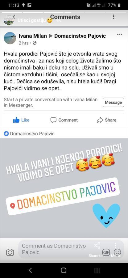 Domacinstvo Pajovic Villa Gornji Milanovac Eksteriør bilde