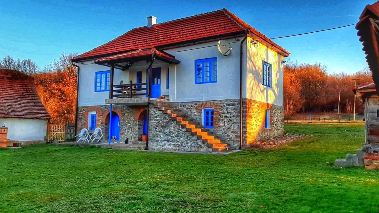 Domacinstvo Pajovic Villa Gornji Milanovac Eksteriør bilde